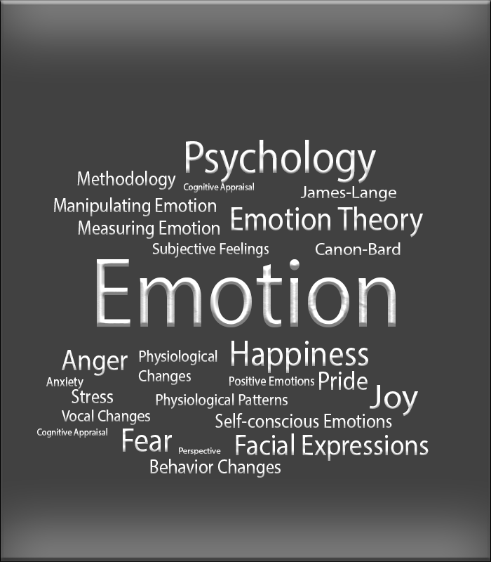 Self-Awareness Techniques for ADHD: Psychology of Emotions eBook Bundle - Kill the Star